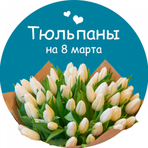 Купить тюльпаны в Дружковке